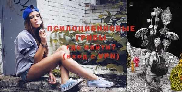 гидра Дмитриев
