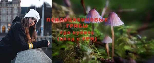 apvp Дмитров