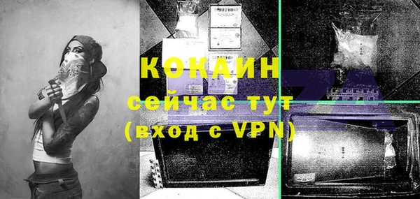 apvp Дмитров