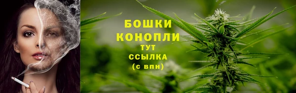 apvp Дмитров