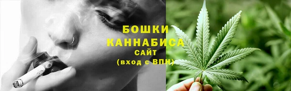 гидра Гусиноозёрск