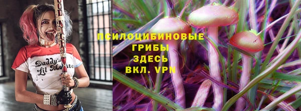apvp Дмитров