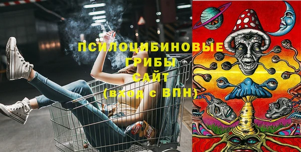 прущий лед Дмитровск