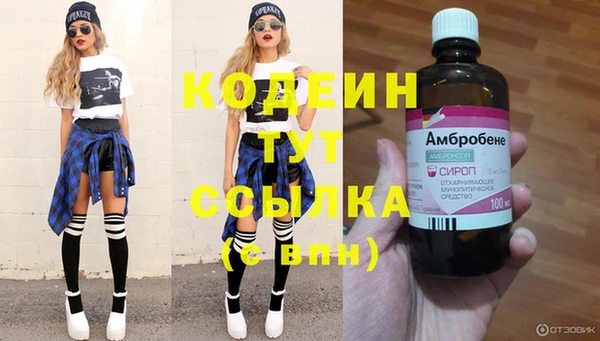 гидра Гусиноозёрск