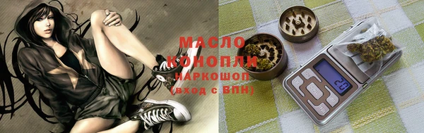 гидра Дмитриев