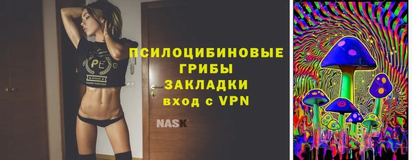 гидра Дмитриев