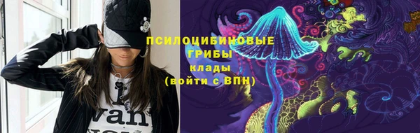 apvp Дмитров