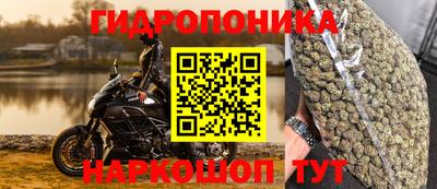 гашик Балаково