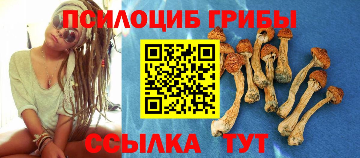 Галлюциногенные грибы MAGIC MUSHROOMS  Вход с VPN  Воскресенск  Псилоцибиновые грибы GOLDEN TEACHER 