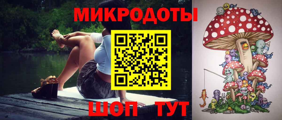 Галлюциногенные грибы Psilocybine cubensis Воскресенск