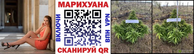 Бошки марихуана Amnesia  где купить наркотик  Воскресенск 